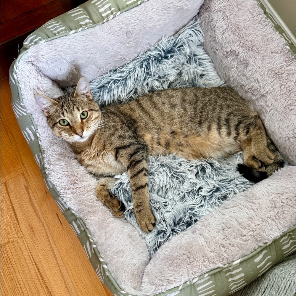 Meet your Posher, Jill